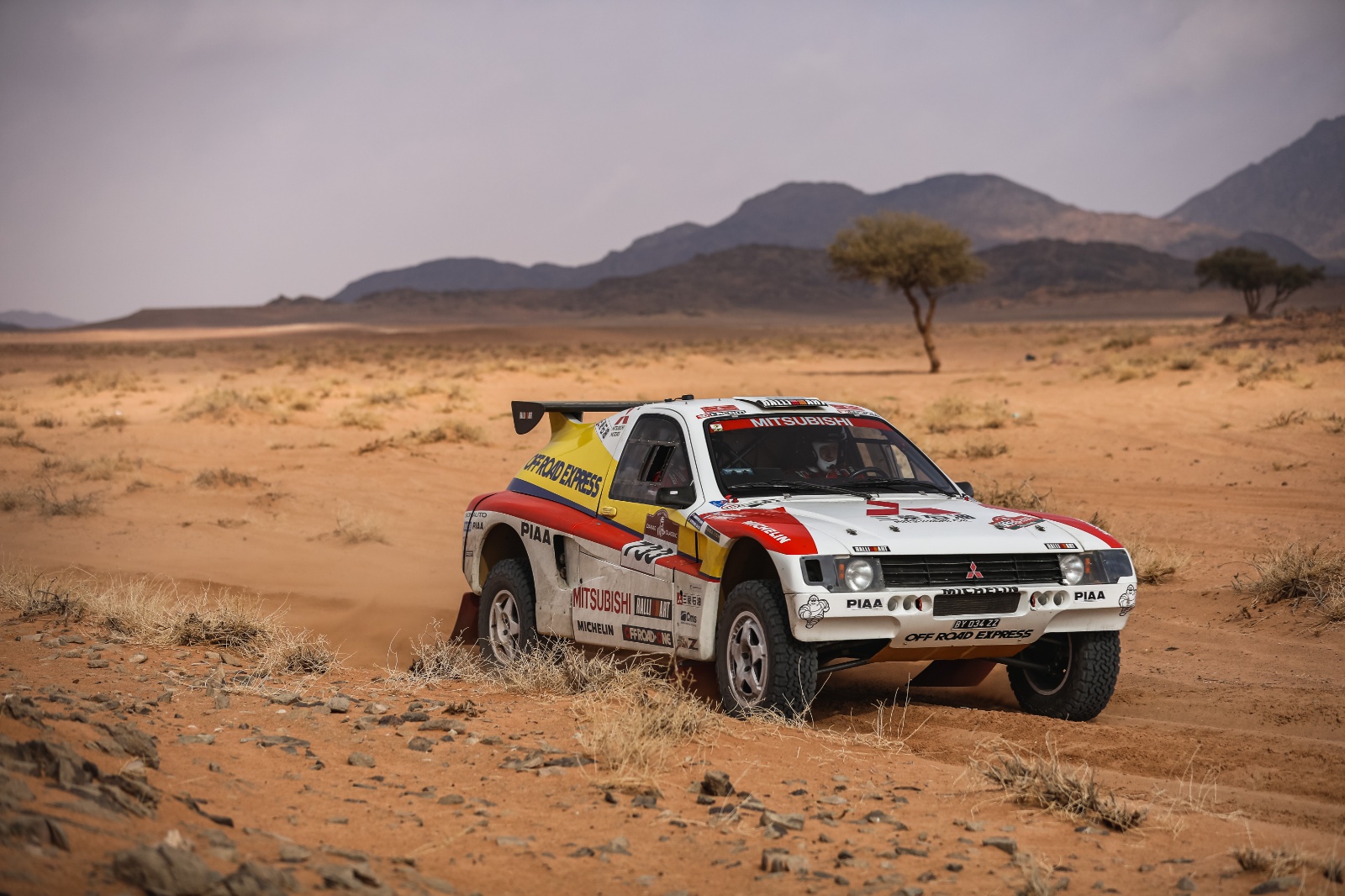 D01 733 DK22 viniciusbranca 010076