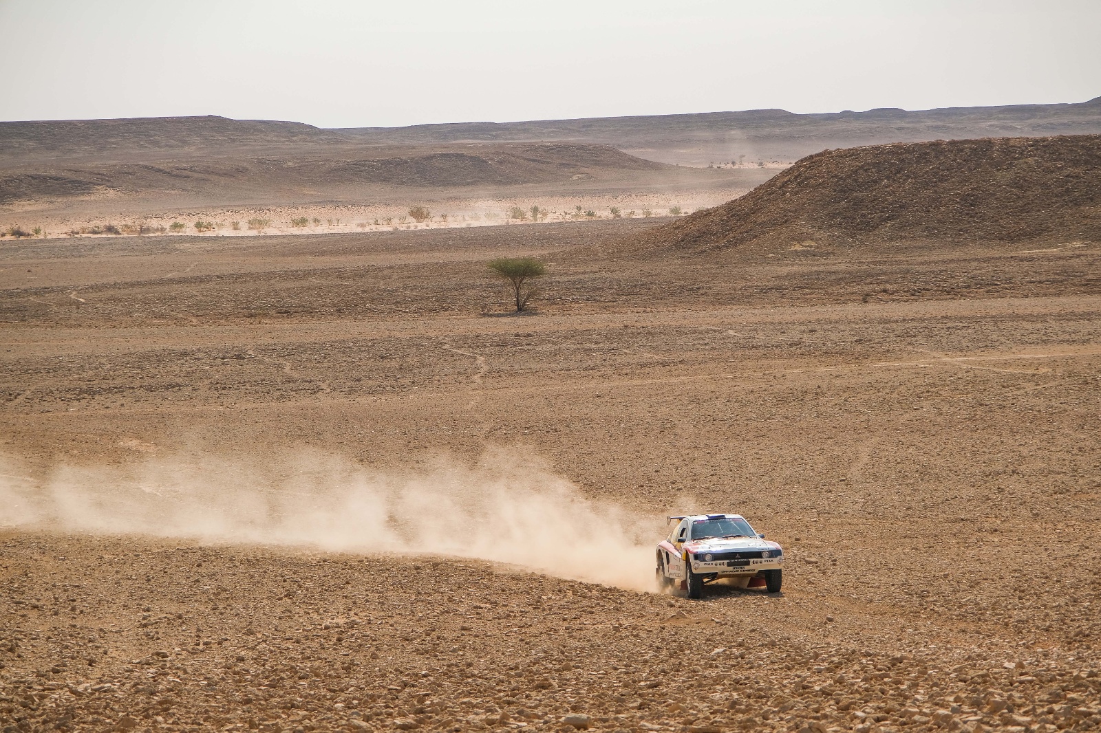 D07 733 DK22 viniciusbranca 070165