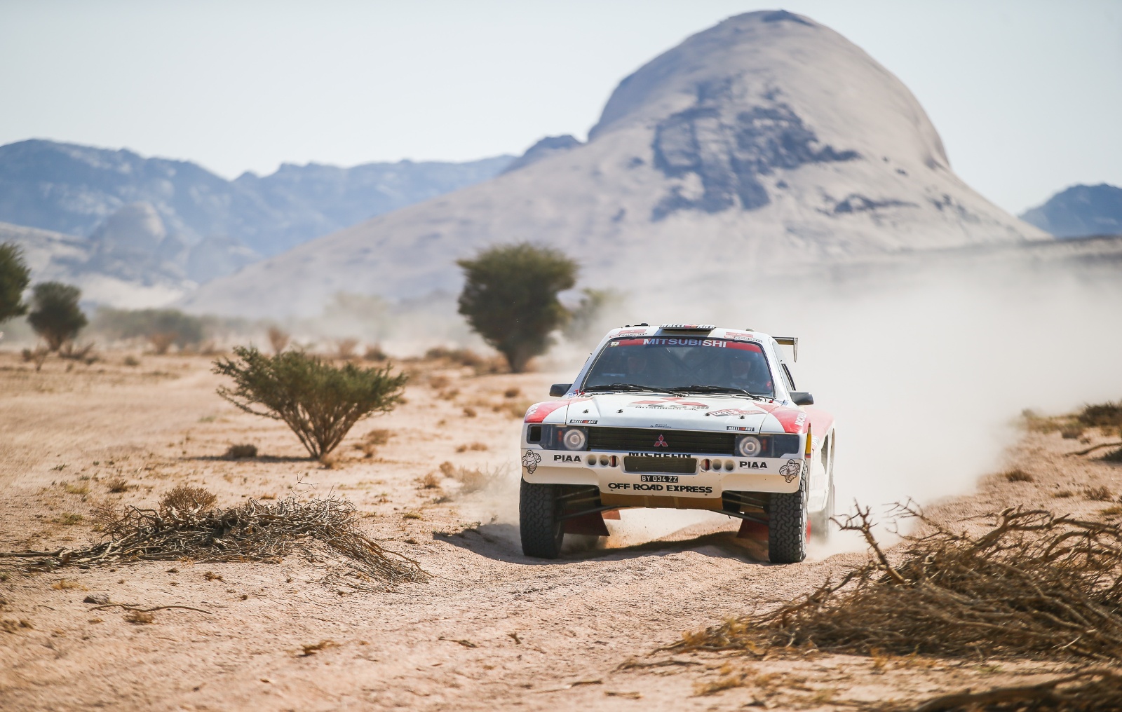 D09 733 DK22 ricardoleizer 090089