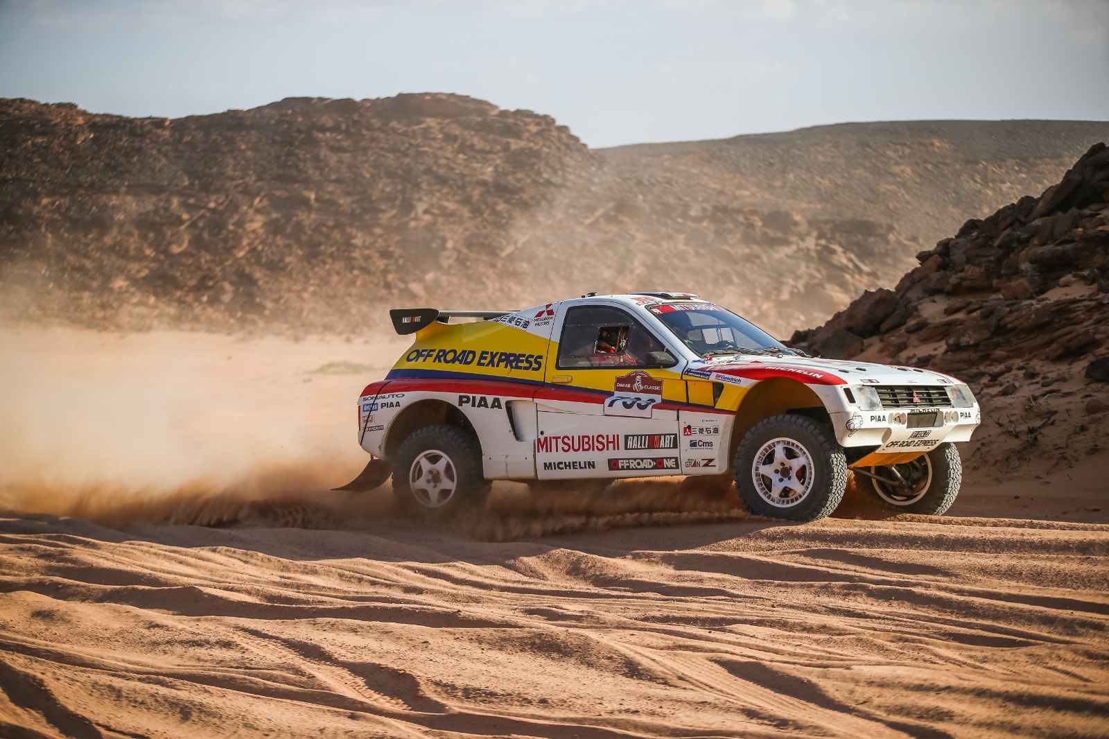 D10 733 DK22 ricardoleizer 100061